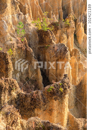 Tokushima _ Scenic view of earthen pillars of Awa, one of the world's three most spectacular Tokushima _ Scenic view of earthen pillars of Awa, one of the world's three most spectacular 102421189