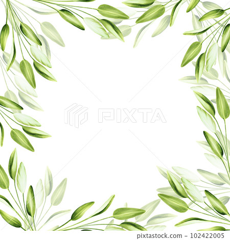 Watercolor frame with fresh sage isolated on background. Detail of beauty products and botany set, cosmetology and medicine. For designers, spa decoration, postcards, wrapping paper, scrapbooking Watercolor frame with fresh sage isolated on background. Detail of beauty products and botany set, cosmetology and medicine. For designers, spa decoration, postcards, wrapping paper, scrapbooking 102422005