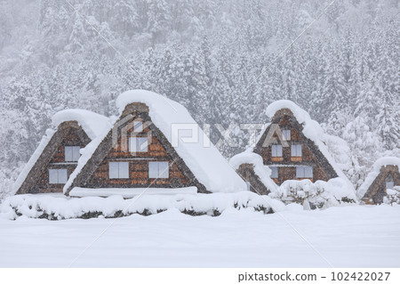 岐阜縣_世界遺產白川鄉的大雪景象 102422027