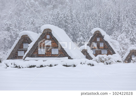 岐阜縣_世界遺產白川鄉的大雪景象 102422028
