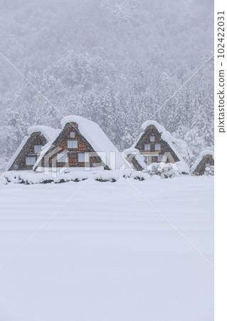 岐阜縣_世界遺產白川鄉的大雪景象 岐阜縣_世界遺產白川鄉的大雪景象 102422031