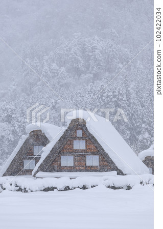 Gifu_Scene of World Heritage Shirakawa-go with heavy snowfall Gifu_Scene of World Heritage Shirakawa-go with heavy snowfall 102422034
