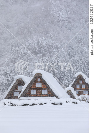 岐阜縣_世界遺產白川鄉的大雪景象 102422037