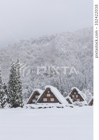 岐阜縣_世界遺產白川鄉的大雪景象 102422038