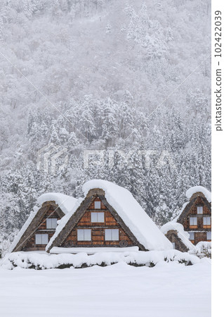 岐阜縣_世界遺產白川鄉的大雪景象 102422039