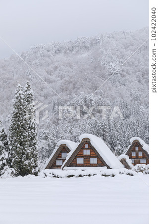 Gifu_Scene of World Heritage Shirakawa-go with heavy snowfall Gifu_Scene of World Heritage Shirakawa-go with heavy snowfall 102422040