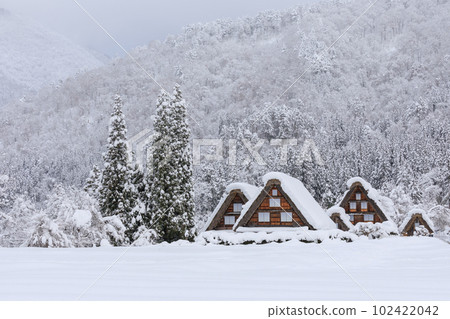 岐阜縣_世界遺產白川鄉的大雪景象 岐阜縣_世界遺產白川鄉的大雪景象 102422042