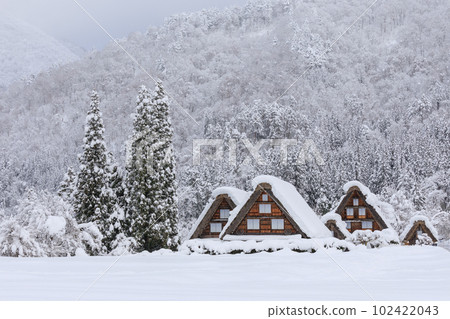 岐阜縣_世界遺產白川鄉的大雪景象 102422043
