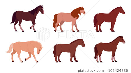 Cartoon horses. Domestic graceful animals, horses of different breeds. Farm or ranch animals flat vector illustration set Cartoon horses. Domestic graceful animals, horses of different breeds. Farm or ranch animals flat vector illustration set 102424886