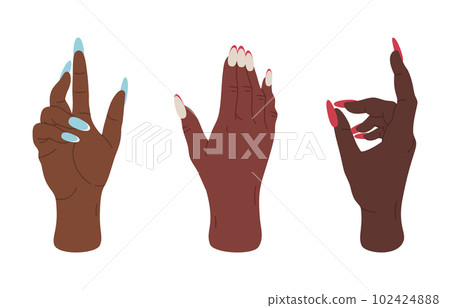 Female hands gestures. Woman palms with elegant gestures, hands with long manicured nails flat vector illustration set Female hands gestures. Woman palms with elegant gestures, hands with long manicured nails flat vector illustration set 102424888