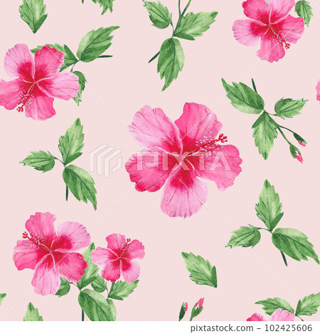 Seamless watercolor pattern with exotic tropical flowers, hibiscus. Botanical illustration isolated on pink background. Can be used for fabric prints, gift wrapping paper, kitchen textile. Seamless watercolor pattern with exotic tropical flowers, hibiscus. Botanical illustration isolated on pink background. Can be used for fabric prints, gift wrapping paper, kitchen textile. 102425606