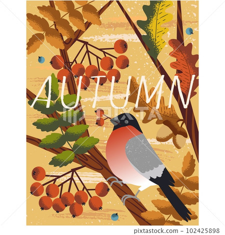 Autumn greeting poster with bullfinch bird on tree 102425898