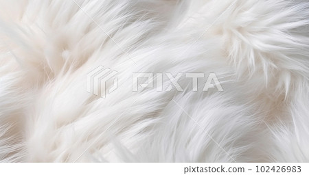 Natural animal white fur background,bunny design template, copy space top view,white wool seamless texture light sheep fluffy background 102426983