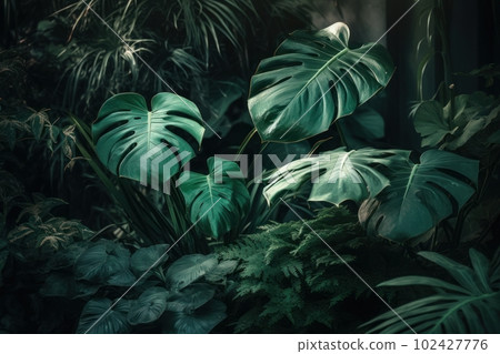 A composition of multiple monstera plants or leaves with a sense of organic and natural decor. Concept lushness and greenery. Generative AI A composition of multiple monstera plants or leaves with a sense of organic and natural decor. Concept lushness and greenery. Generative AI 102427776