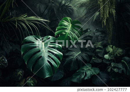 A composition of multiple monstera plants or leaves with a sense of organic and natural decor. Concept lushness and greenery. Generative AI A composition of multiple monstera plants or leaves with a sense of organic and natural decor. Concept lushness and greenery. Generative AI 102427777