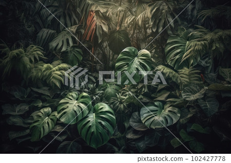 A composition of multiple monstera plants or leaves with a sense of organic and natural decor. Concept lushness and greenery. Generative AI A composition of multiple monstera plants or leaves with a sense of organic and natural decor. Concept lushness and greenery. Generative AI 102427778