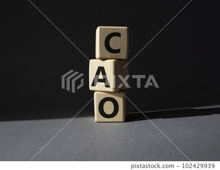 CAO - Chief Accounting Officer symbol. Wooden cubes with word CAO. Beautiful grey background. Business and Chief Accounting Officer concept. Copy space. CAO - Chief Accounting Officer symbol. Wooden cubes with word CAO. Beautiful grey background. Business and Chief Accounting Officer concept. Copy space. 102429939