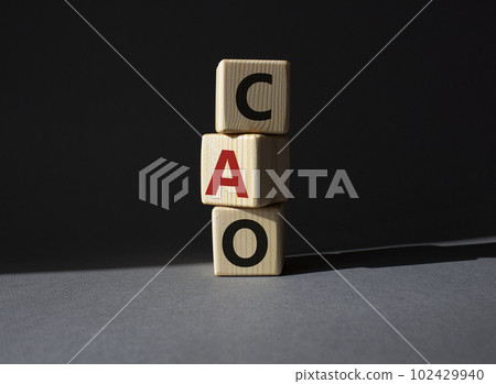 CAO - Chief Accounting Officer symbol. Wooden cubes with word CAO. Beautiful grey background. Business and Chief Accounting Officer concept. Copy space. CAO - Chief Accounting Officer symbol. Wooden cubes with word CAO. Beautiful grey background. Business and Chief Accounting Officer concept. Copy space. 102429940