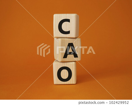 CAO - Chief Accounting Officer symbol. Wooden cubes with word CAO. Beautiful orange background. Business and Chief Accounting Officer concept. Copy space. CAO - Chief Accounting Officer symbol. Wooden cubes with word CAO. Beautiful orange background. Business and Chief Accounting Officer concept. Copy space. 102429952