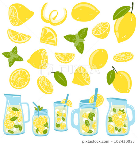 Set of lemons and bottles with lemonade. Vector illustration of citrus fruit, glass, jars with fresh summer drink, mint for web design, logo, packaging, stickers, print 102430053