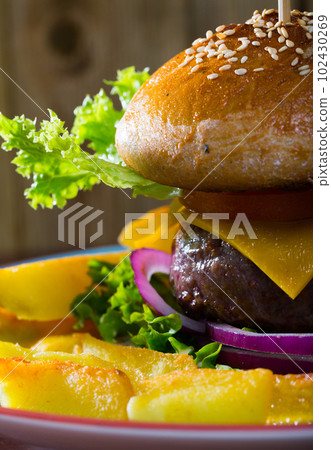 Heeseburger with beef, tomato, cheese, cucumber and french fries Heeseburger with beef, tomato, cheese, cucumber and french fries 102430269