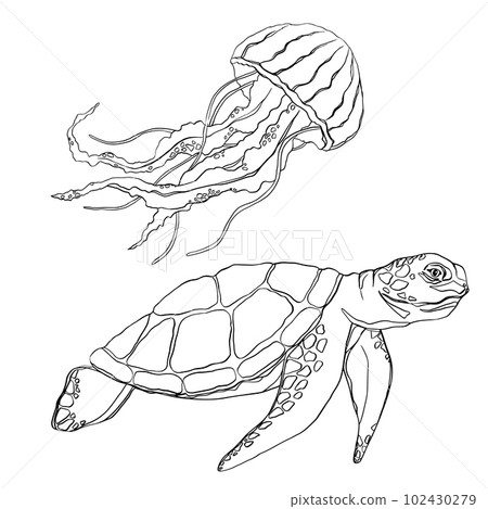 Vector outlined turtle and jellyfish cartoon design. Stylized vector. Style tattoo. Vector of turtle design on a white background. Reptile. Animals. Easy editable layered vector illustration. 102430279