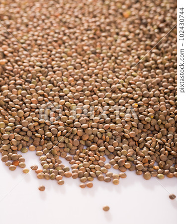 Raw lentils on white background Raw lentils on white background 102430744
