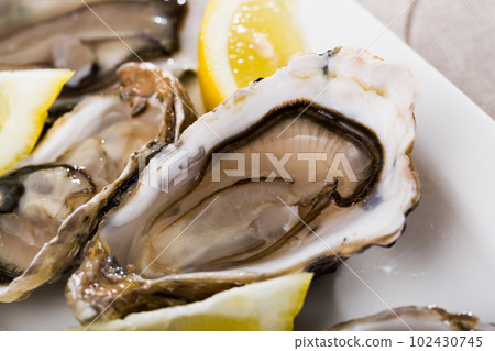 Opened raw oysters with lemon Opened raw oysters with lemon 102430745