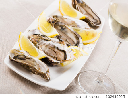 Oysters with lemon on plate Oysters with lemon on plate 102430925