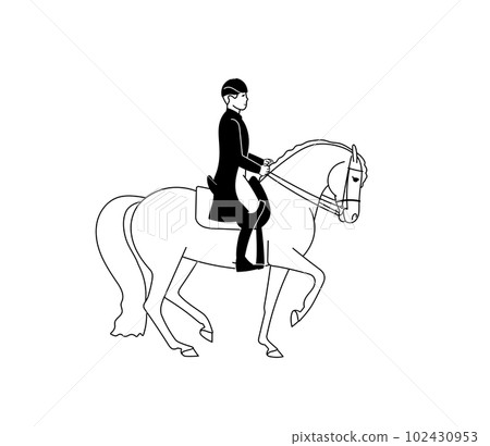 Vector image of a rider on a horse Vector image of a rider on a horse 102430953