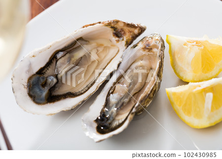 Raw oysters Raw oysters 102430985