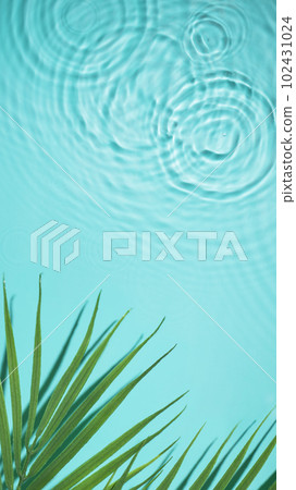 Water background with palm leaf top view. Tropical summer background for design. Travel holiday. 102431024