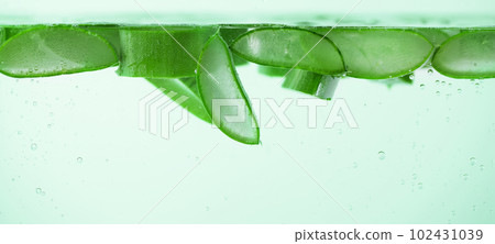Sliced aloe vera in the water with water drops. Aloe vera slices in aloe vera gel. Alternative beauty treatment. Herbal medicine. 102431039