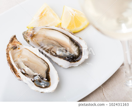 Raw oysters Raw oysters 102431163