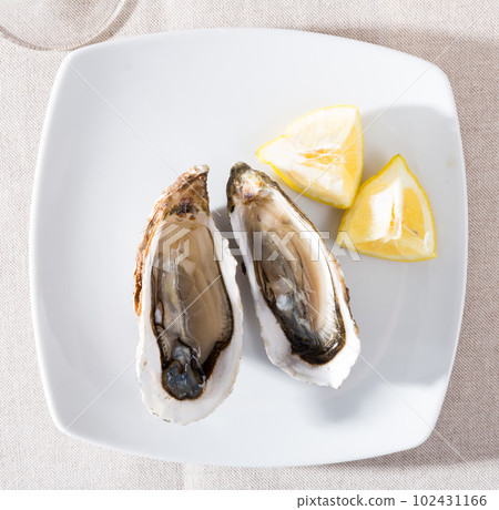 Top view of raw fresh oysters Top view of raw fresh oysters 102431166