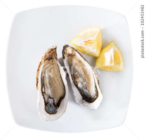 Top view of raw fresh oysters Top view of raw fresh oysters 102431482
