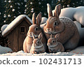 rabbits, snow, sitting 102431713