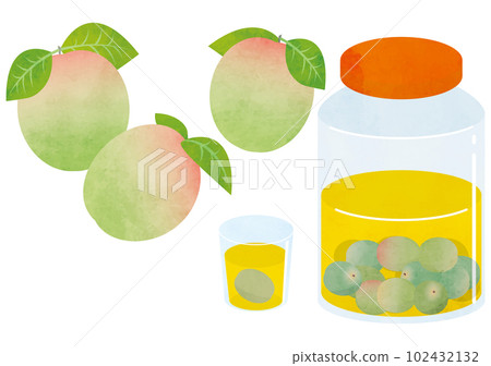 Plum wine Plum wine 102432132