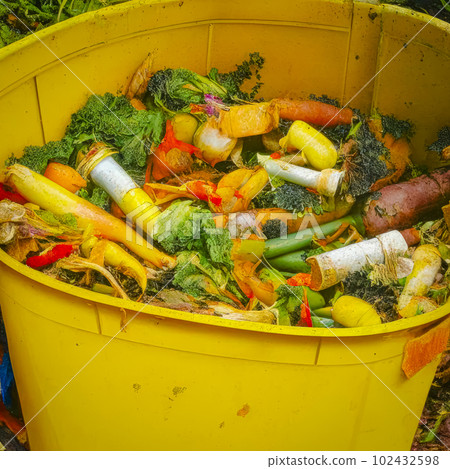 Food plant waste. Generative AI 102432598