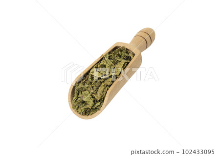 Dried leaves o Lemon verbena in latin Aloysia citrodora in wooden scoop isolated on white background. Medicinal herb. 102433095