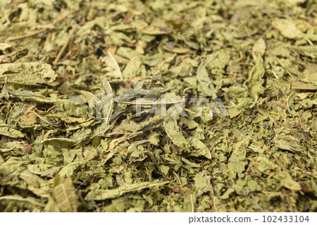 Dried leaves o Lemon verbena in latin Aloysia citrodora background. Macro photo. Close up. Shallow depth of field. Dried leaves o Lemon verbena in latin Aloysia citrodora background. Macro photo. Close up. Shallow depth of field. 102433104