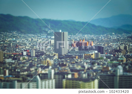 大阪市容 大阪市容 102433420