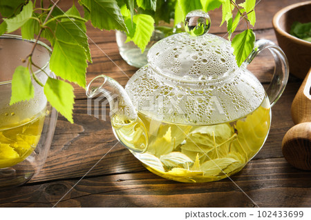 Glass teapot with birch leaf tea. Kettle and cup of healthy birch leaf tea, twigs of Birch tree with leaves. Alternative herbal medicine. 102433699