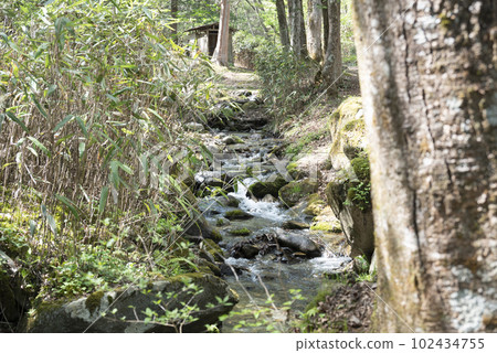 Yamanashi Prefecture Ichinose Kogen Campsite Yamanashi Prefecture Ichinose Kogen Campsite 102434755