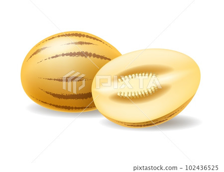 Pepino fruit realistic illustration Pepino fruit realistic illustration 102436525