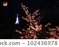 Cherry blossoms at night 102436978