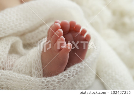 The tiny foot of a newborn baby. Soft feet of a new born in a white wool blanket. Close up of toes, heels and feet of a newborn. Knitted white heart in the legs of a baby. Macro photography 102437235