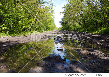 An impassable dirt road among trees in a thicket of forest An impassable dirt road among trees in a thicket of forest 102438255