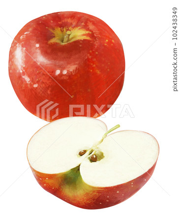 Real touch apple illustration 102438349