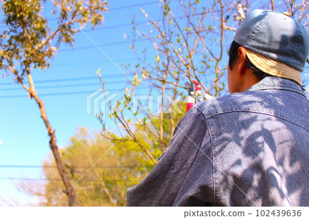 man cutting tree branches 102439636
